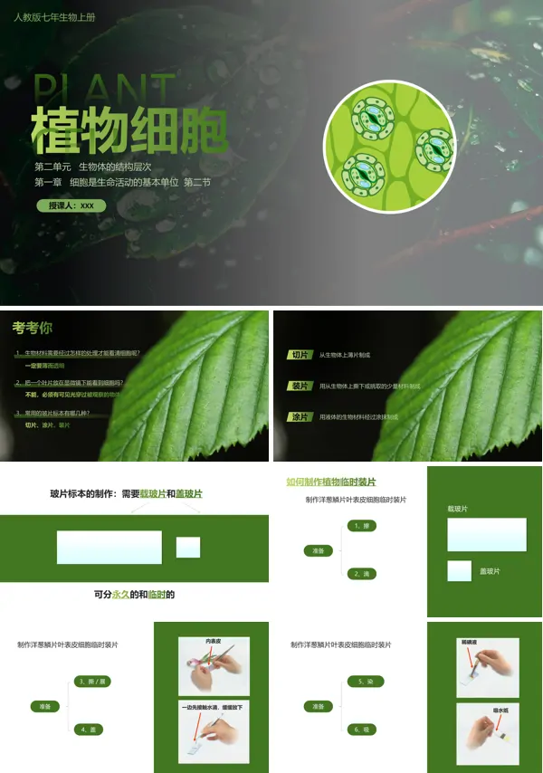 植物细胞ppt人教版
