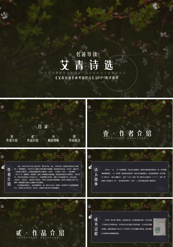 高中语文人教版九年级必修《艾青诗选》PPT课件