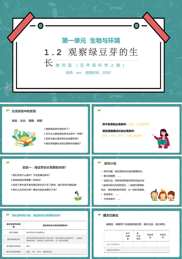 观察豆芽的生长小学PPT下载课件