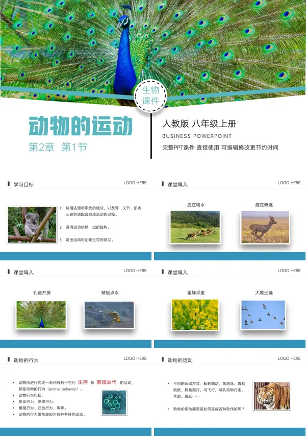 教学生物人教版八年级上册课文内容《动物的运动》的PPT模板
