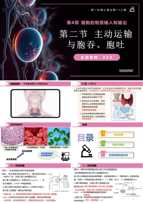 高一人教生物上册必修一4.2主动运输与胞吞、胞吐PPT课件含教案