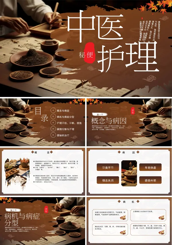 中医药治疗便秘PPT模板含讲稿