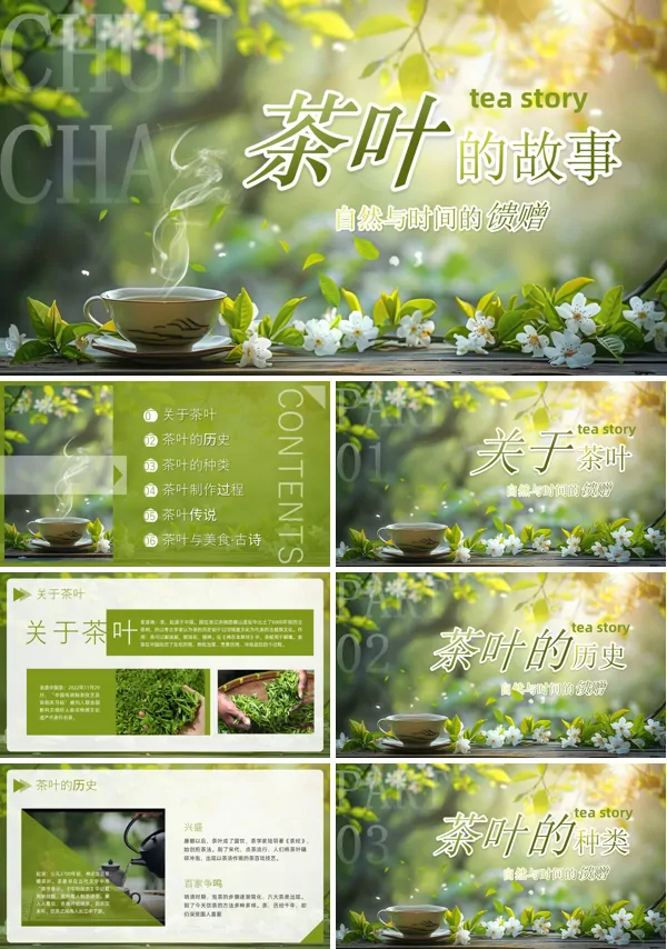 茶叶的故事PPT课件模板含讲稿