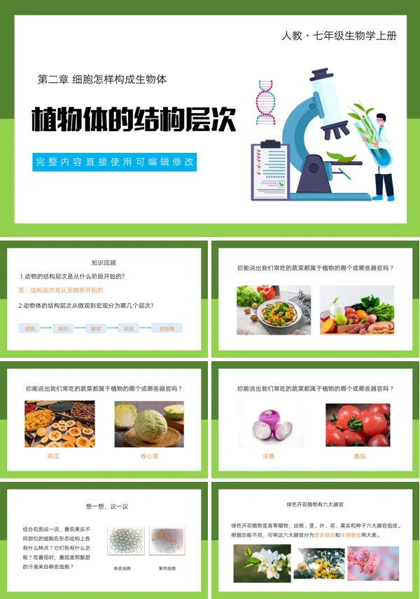 人教版初中七年级上册第二章课文内容《植物体的结构层次》教学的PPT课件