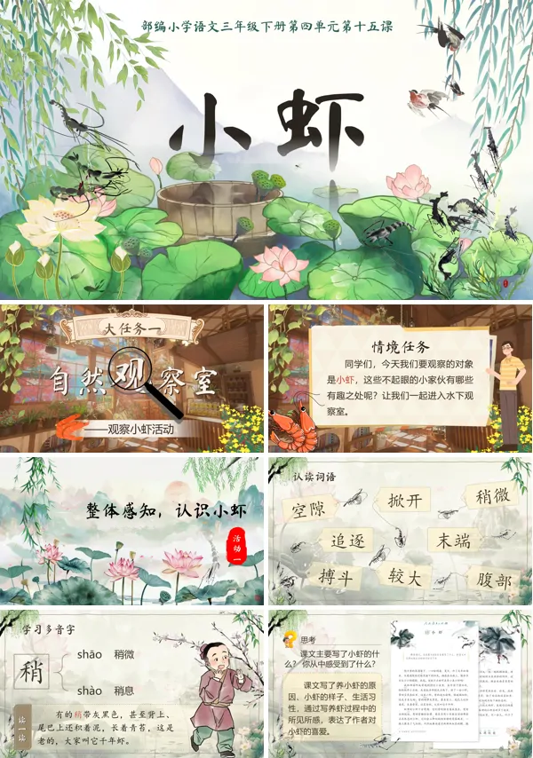 部编小学语文三年级下册小虾PPT课件含教案