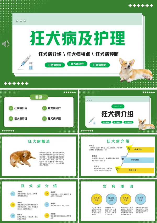 狂犬病知识健康教育课件PPT