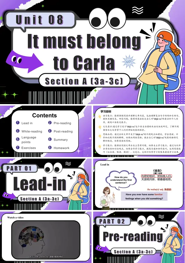 九年级英语全一册Unit 8 第2课时 Section A 3a 3c PPT课件含教案