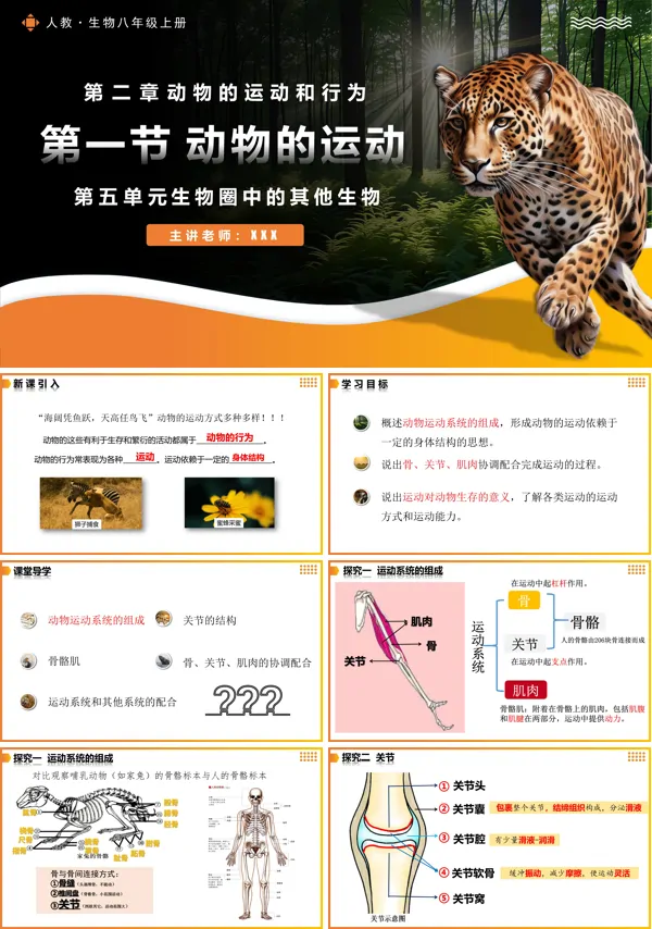 人教八年级生物上册5.2.1动物的运动PPT课件含教案