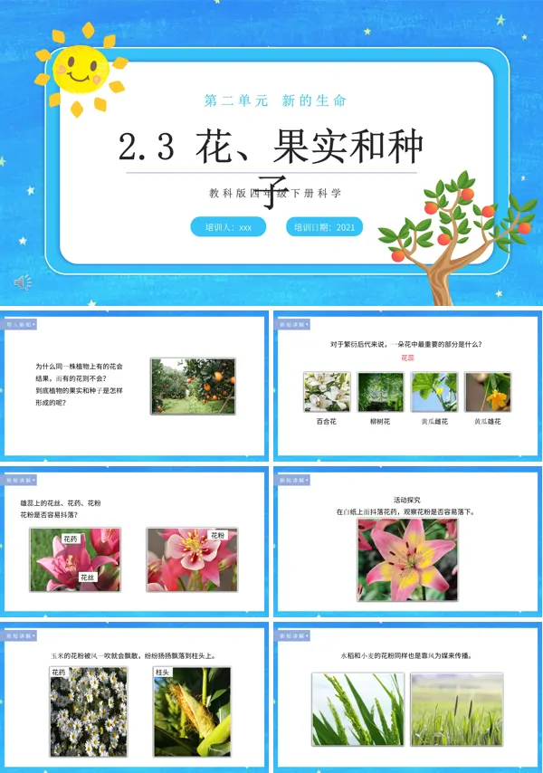 教科版四年级下册花、果实和种子课件PPT