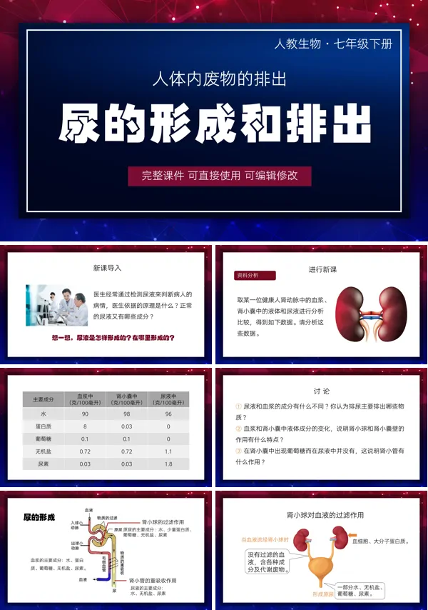 人教版七年级下册人体内废物的排出尿的形成和排出PPT课件