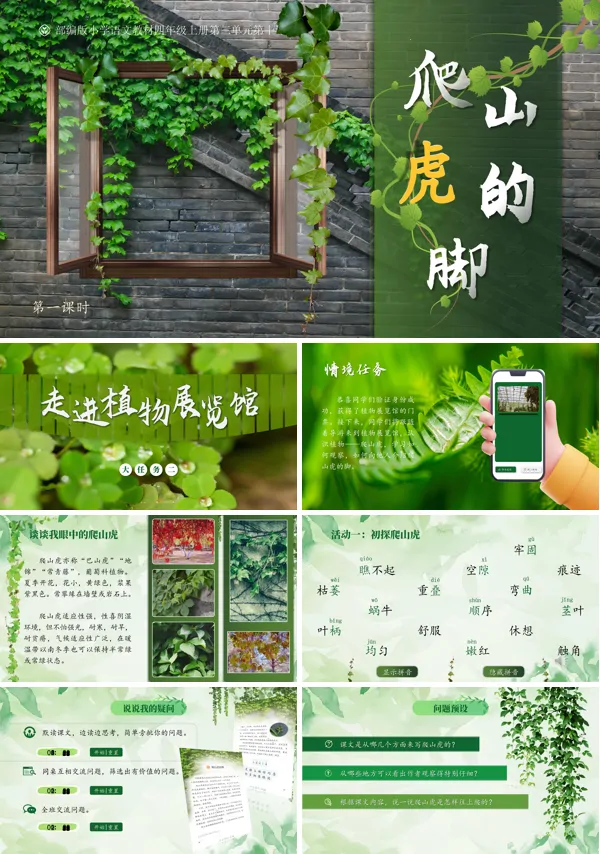 人教版四年级上册语文三单元【爬山虎的脚】PPT课件含教案
