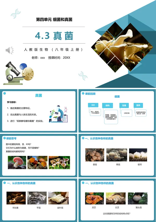 真菌课件PPT模板