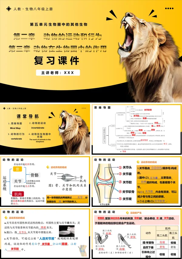 人教八年级生物上册第五单元第二、三章动物的运动和行为、动物在生物圈中的作用复习课件PPT课件含教案