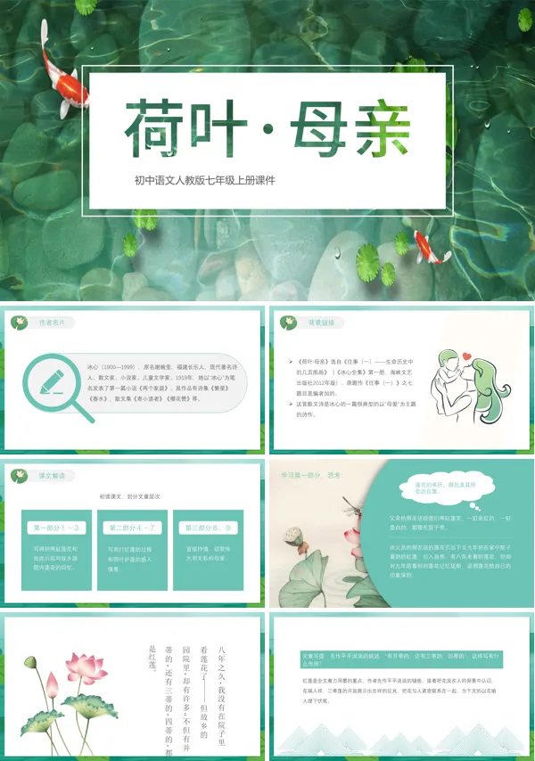 《荷叶母亲》课件PPT