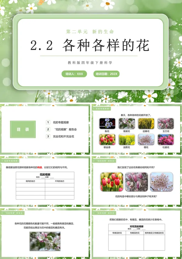 教科版四年级下册各种各样的花课件PPT模板