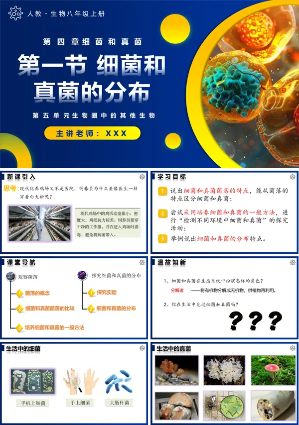 人教八年级生物上册5.4.1细菌和真菌的分布PPT课件含教案