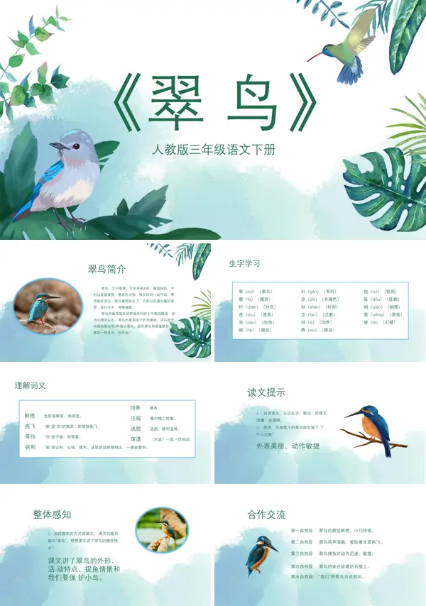 《翠鸟》PPT课件