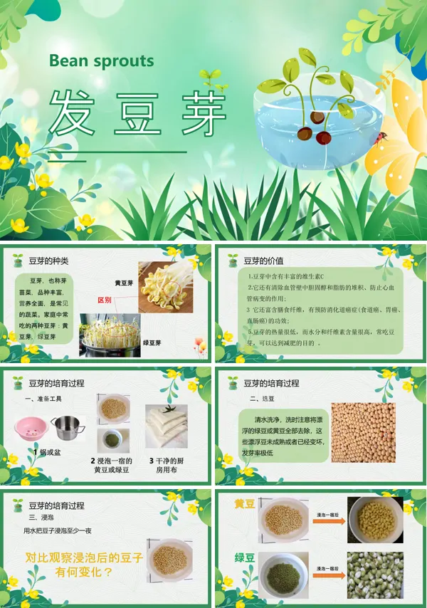 发豆芽(内嵌视频)PPT课件免费下载