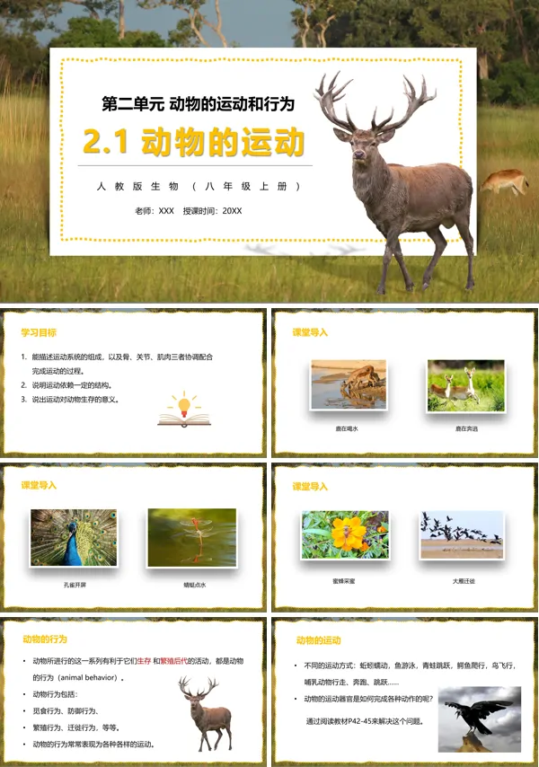 部编版八年级生物上册动物的运动PPT模板下载