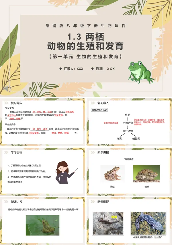 部编版生物两栖动物的生殖和发育PPT课件