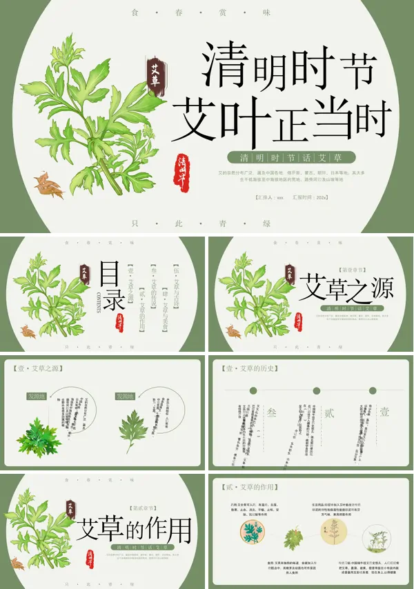 清明艾草理疗养生PPT模板含讲稿