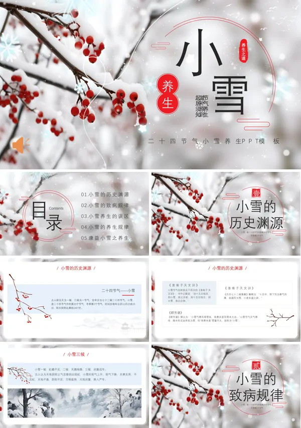 二十四节气小雪PPT课件含讲稿