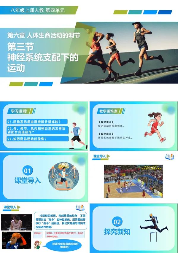 八年级生物上册 人教 4.6.3 神经系统支配下的运动(教学课件)ppt课件含教案