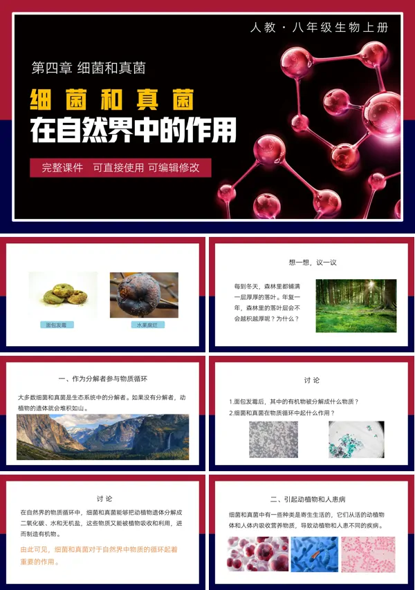 细菌和真菌在自然界中的作用PPT课件