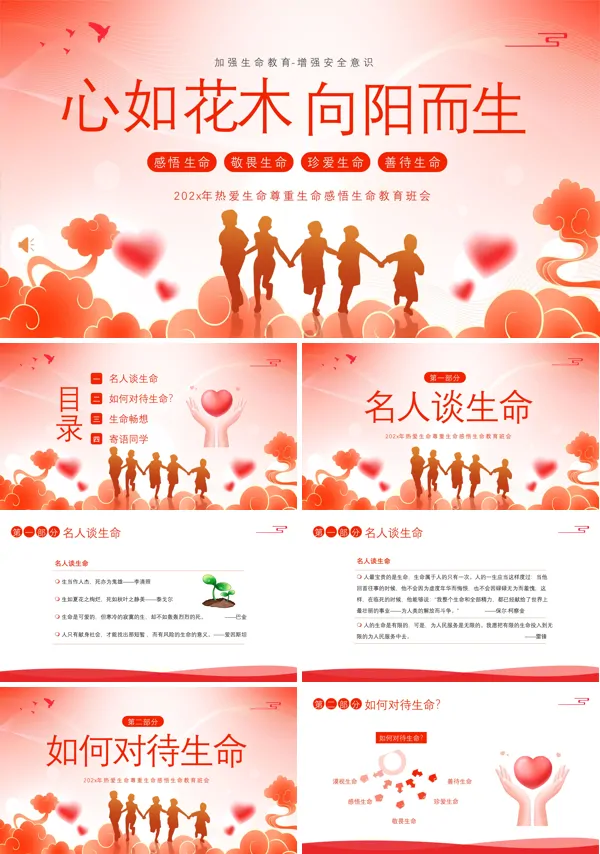 生命教育认识生命珍爱生命教育主题班会PPT模板