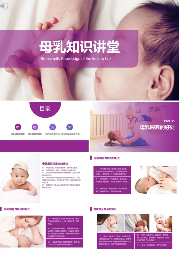 母乳喂养的基本知识培训课件PPT模板