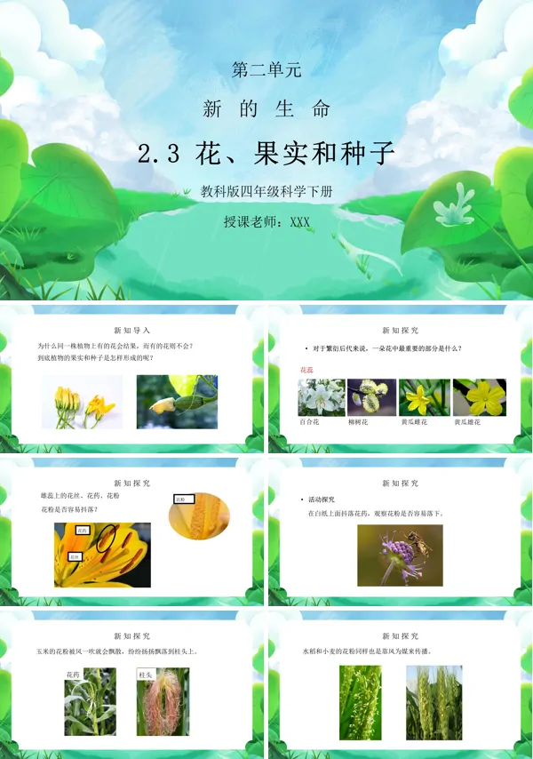 新的生命花果实和种子ppt课件