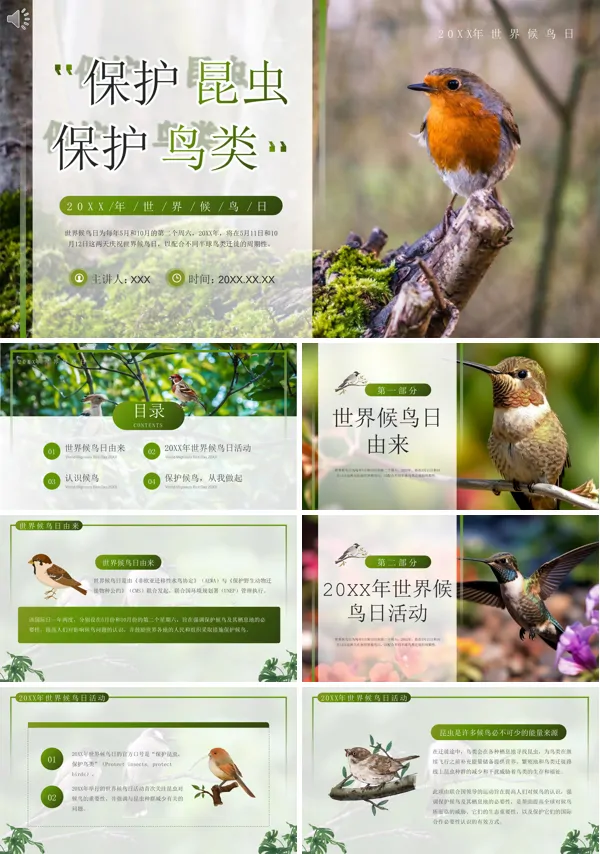 节日科普世界候鸟日PPT课件