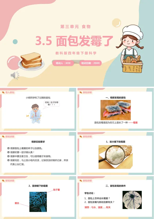 四年级下册面包发霉了课件PPT模板