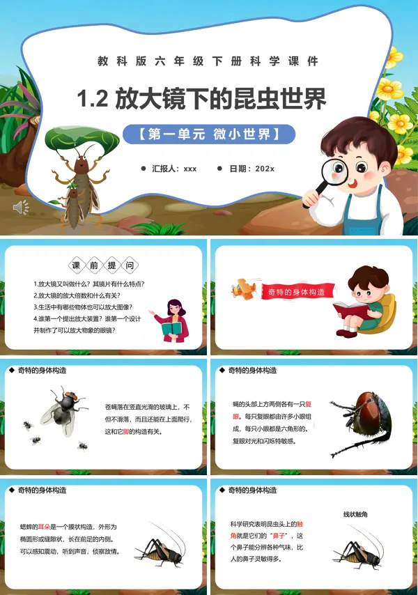 放大镜下的昆虫世界课件PPT模板
