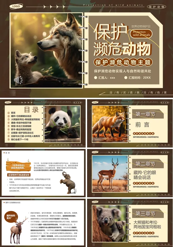 保护濒危动物PPT主题班会含讲稿