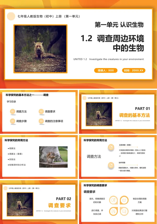调查周边环境中的生物PPT课件模板