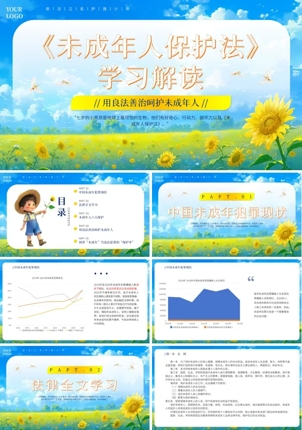 2024年未成年人保护法宣传教育PPT