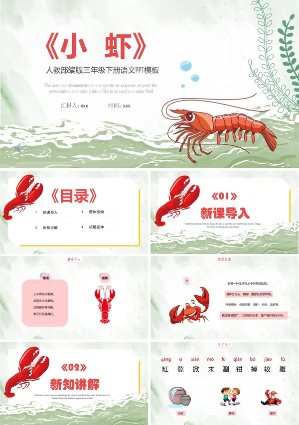 小虾ppt课件