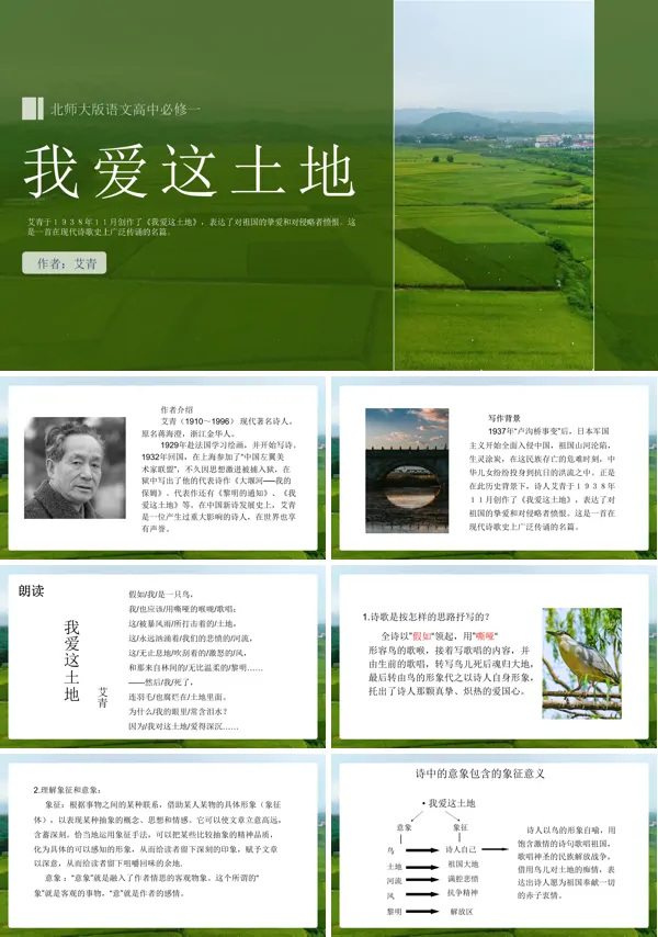 高中语文北师大版必修一1.2《我爱这土地》PPT课件