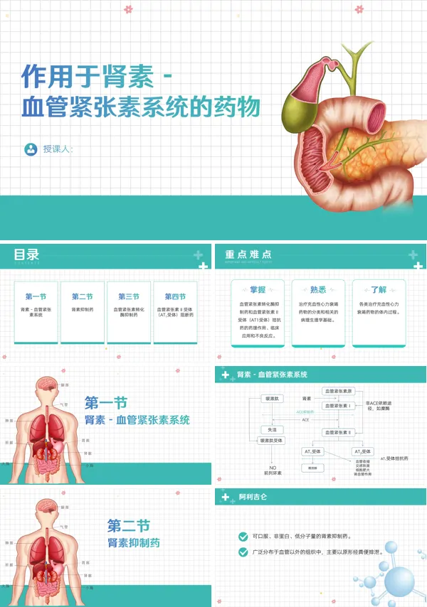 作用于肾素-血管紧张素系统的药物PPT