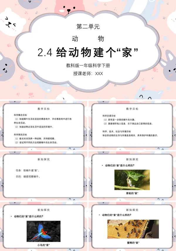 《动物-给动物建个“家”》PPT课件