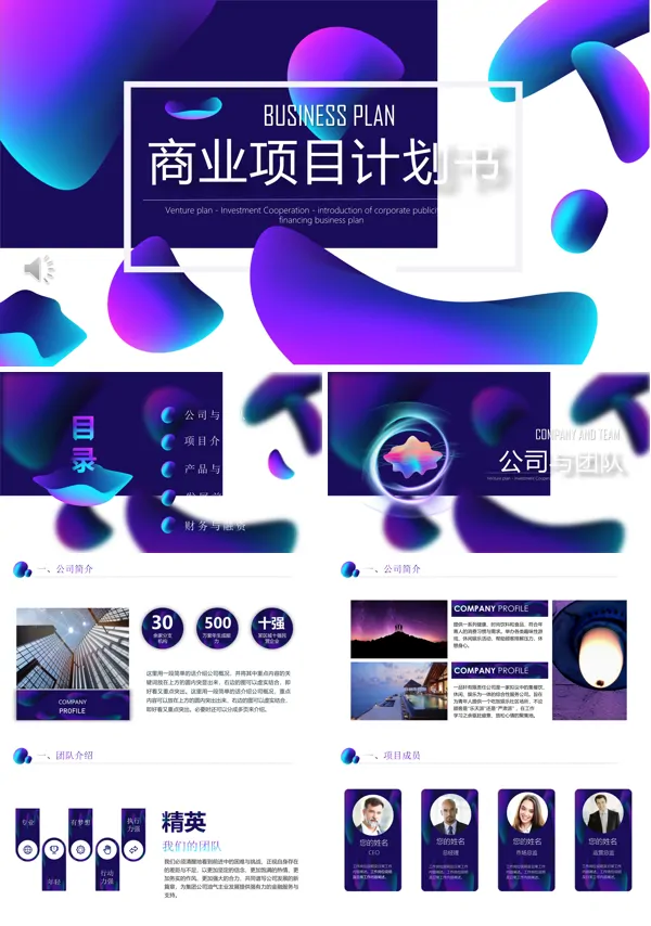商业项目计划规划书PPT模板
