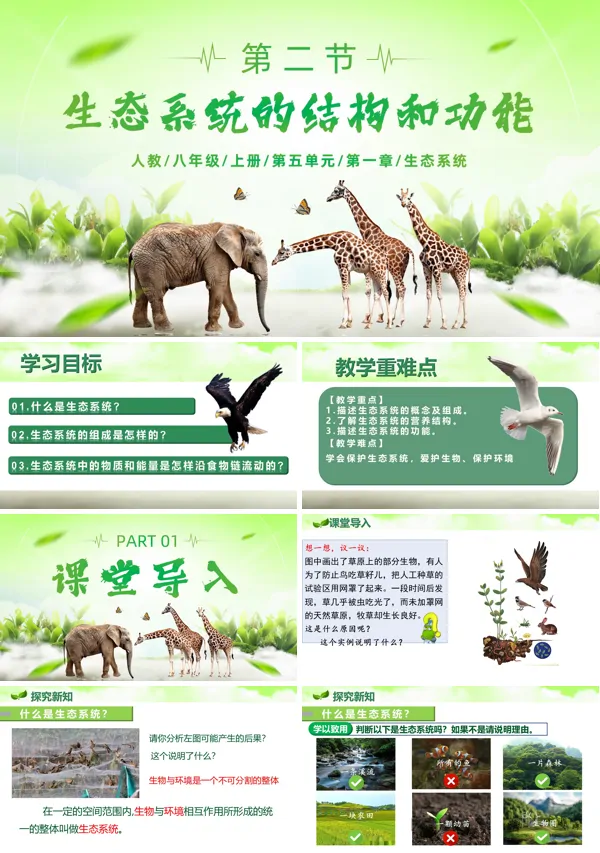八年级生物上册人教 5.1.2 生态系统的结构和功能(教学课件)ppt课件含教案