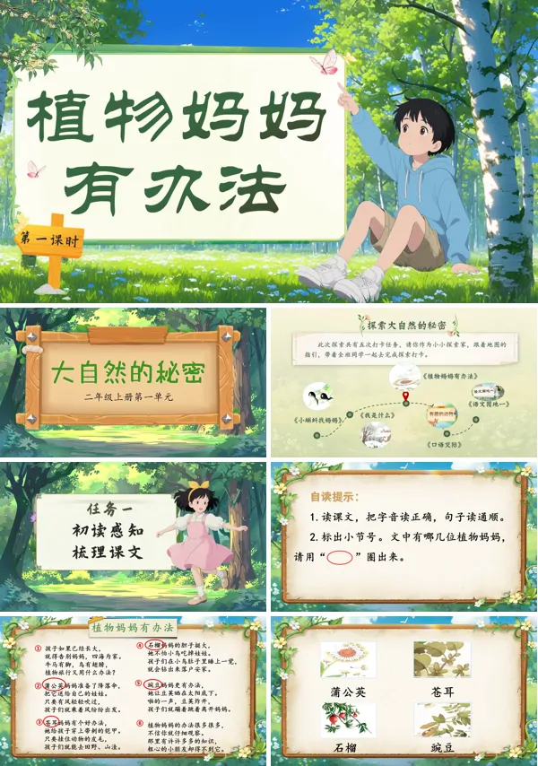 部编语文二年级上册植物妈妈有办法PPT课件含教案