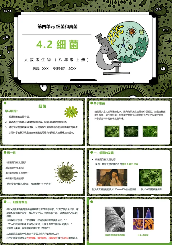 八年级生物上册细菌课件PPT模板