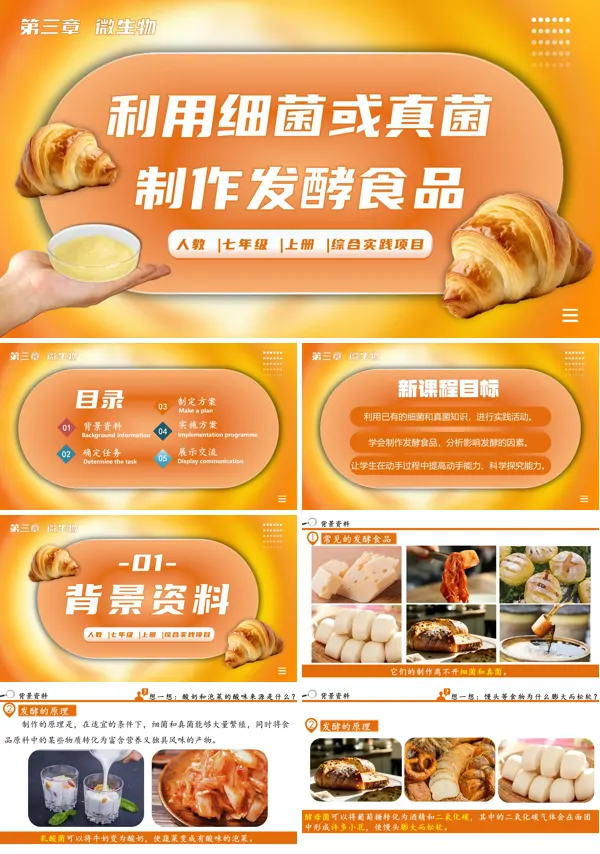 生物人教七年级生物上册综合实践项目利用细菌或真菌制作发酵食品PPT课件含教案