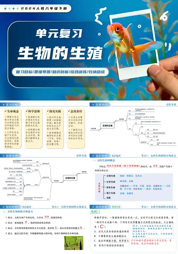 人教八年級生物下冊第1章第六單元第一章 生物的生殖單元復(fù)習(xí)PPT課件（含知識清單+專項訓(xùn)練+基礎(chǔ)卷+提升卷）