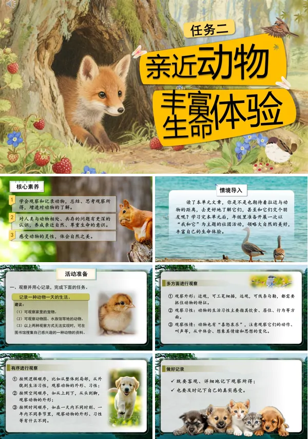 部编语文七年级上册任务二:亲近动物,丰富生命体验PPT课件含教案