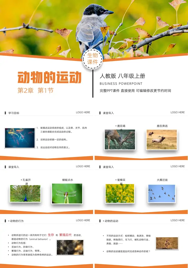人教版八年级上册生物《动物的运动》的PPT模板