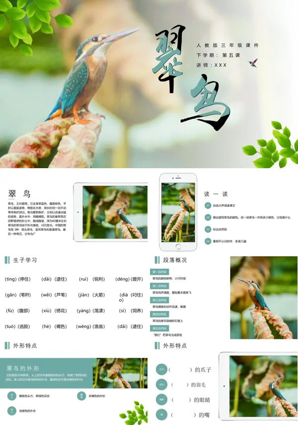《翠鸟》课件PPT